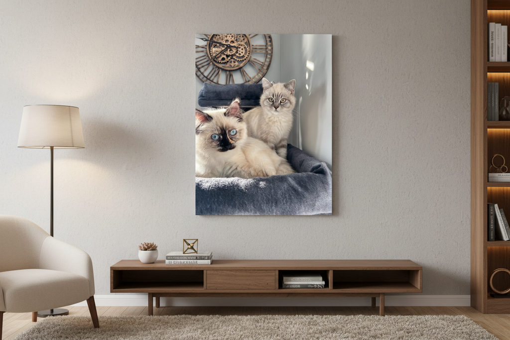 Canvas met twee katten