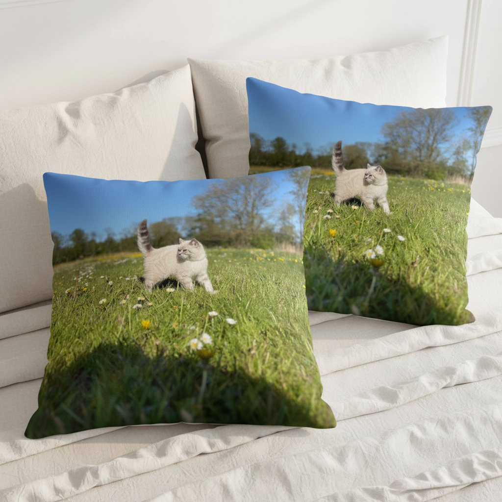 Speelse kussens op bed vierkant